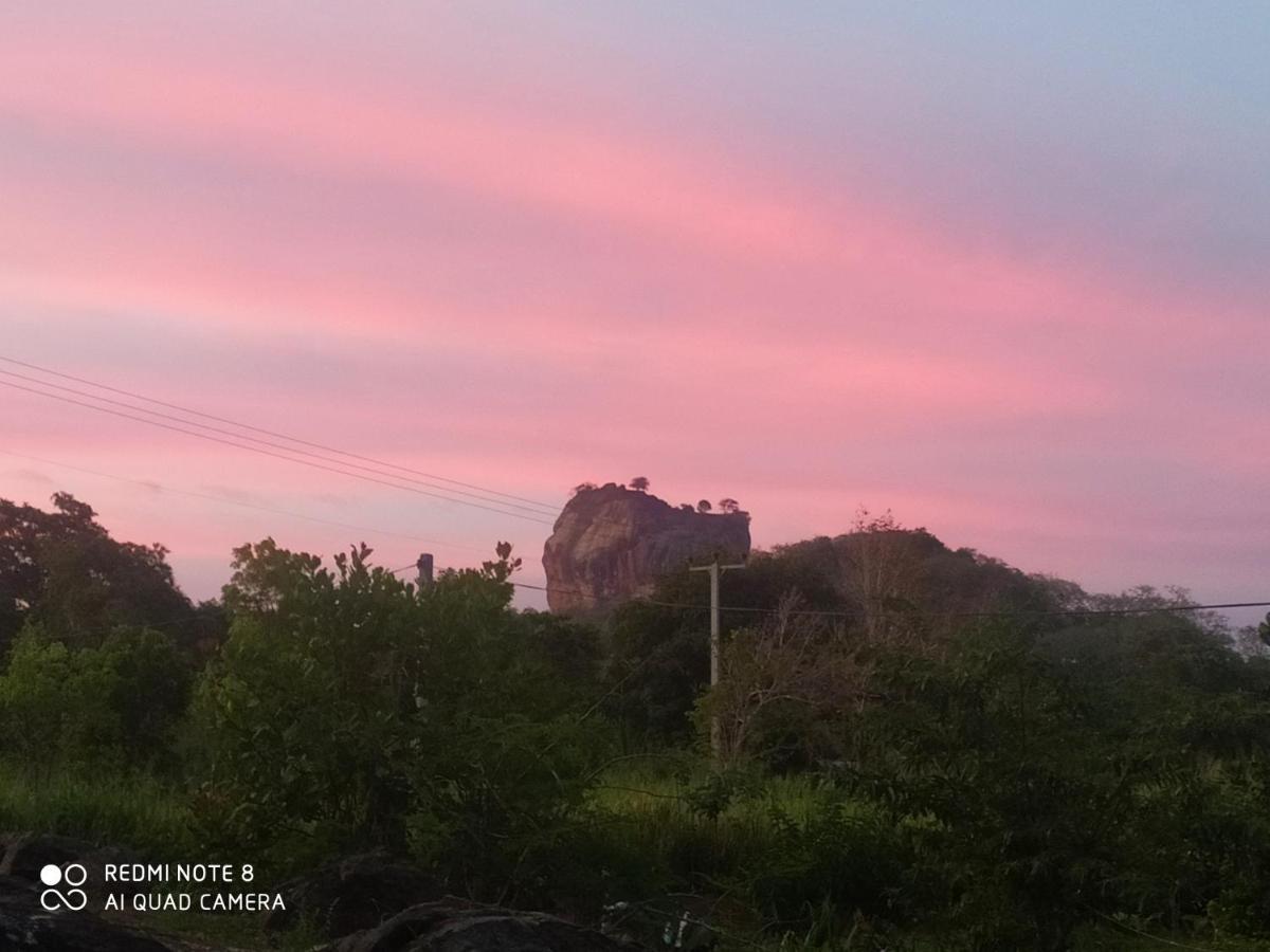 Sigiri Gayani Home Stay Sigiriya Exterior foto