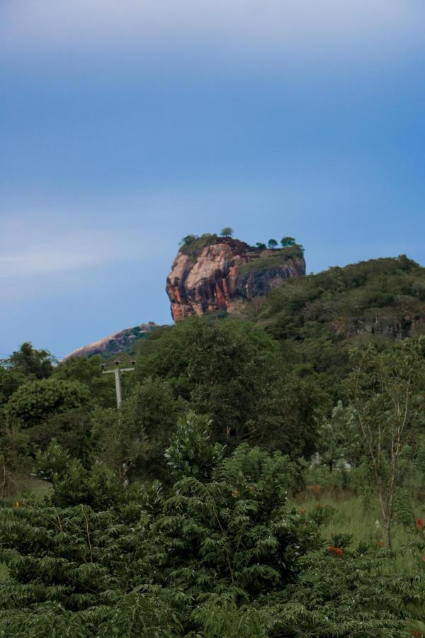 Sigiri Gayani Home Stay Sigiriya Exterior foto